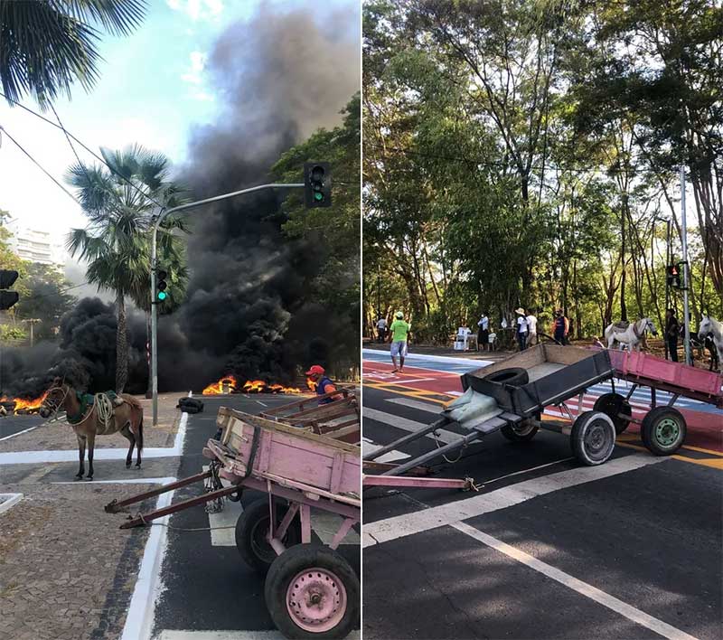 Carroceiros bloqueiam avenida durante cinco horas contra projeto que proíbe uso de animais em Teresina, PI