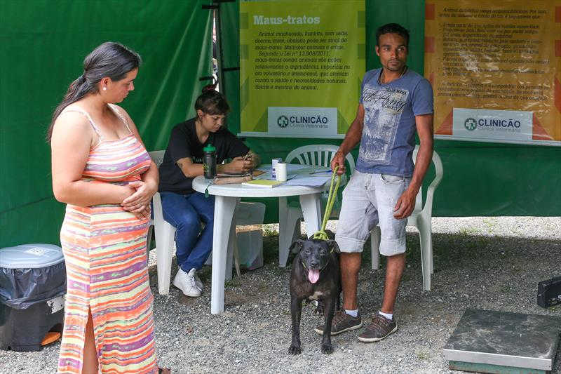 Setembro tem 1.250 vagas em mutirão de castração gratuita de cães e gatos em Curitiba, PR