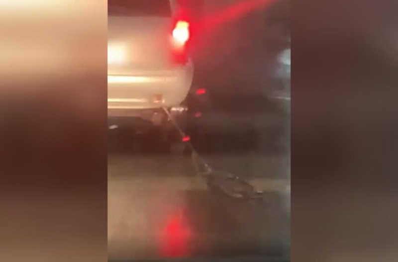 Moradora flagra cachorro sendo arrastado por carro em Ampére, PR
