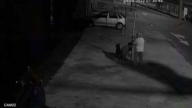 Momento em que as duas mulheres abandonam a cadela na Rua Cambuci do Vale, em Vicente de Carvalho, na Zona Norte Divulgação