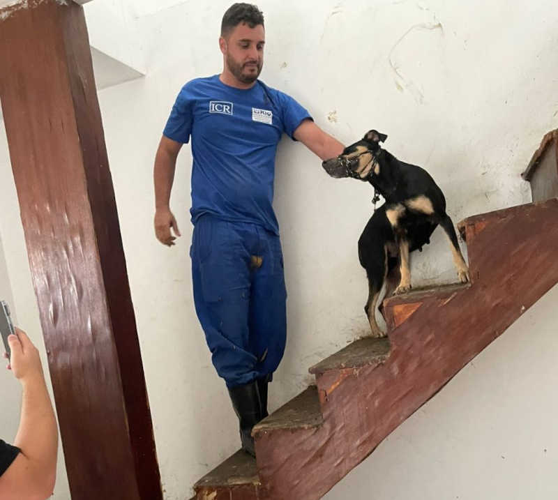 Os animais foram resgatados após denuncias de vizinhos. Foto: Subprefeitura da Zona Norte/Divulgação