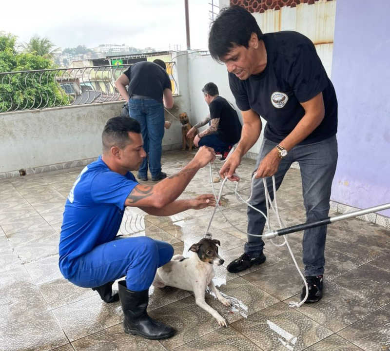 Os animais foram resgatados após denuncias de vizinhos. Foto: Subprefeitura da Zona Norte/Divulgação