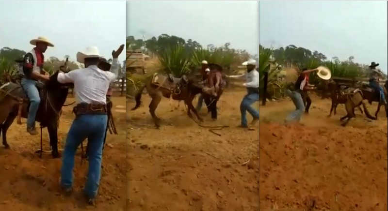 Polícia identifica suspeitos de maus-tratos a animal durante cavalgada em distrito de Cacoal, RO