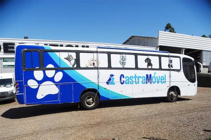 Em um ano, Centro de Zoonoses de Santiago (RS) realizou mais de 1.600 castrações de cães e gatos