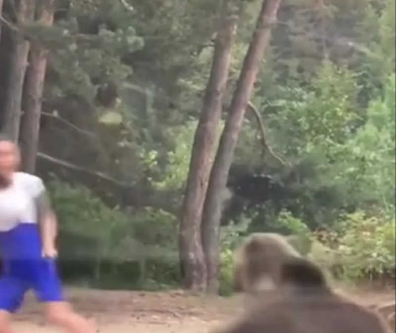 Vídeo flagra momento em que mulher invade habitat de urso para tirar foto e animal reage; assista