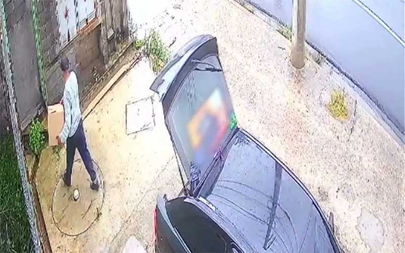 Homem é investigado por maus-tratos após descartar caixa com gato morto em Várzea Paulista, SP