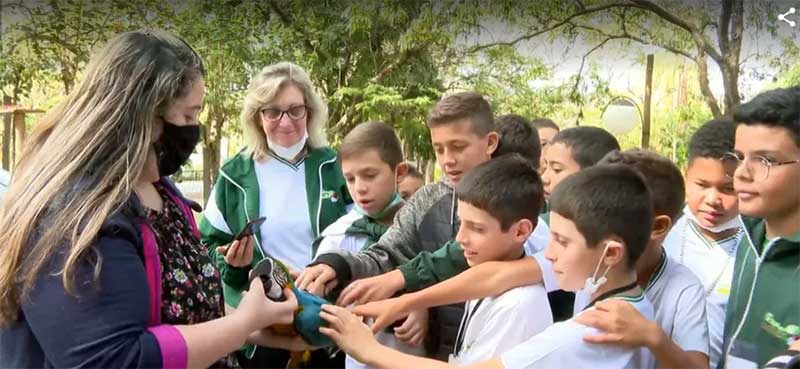 Alunos da Escola Estadual Hermínio Ometto visitam Cras e aprendem sobre educação ambiental com a arara Raul — Foto: Reprodução/EPTV