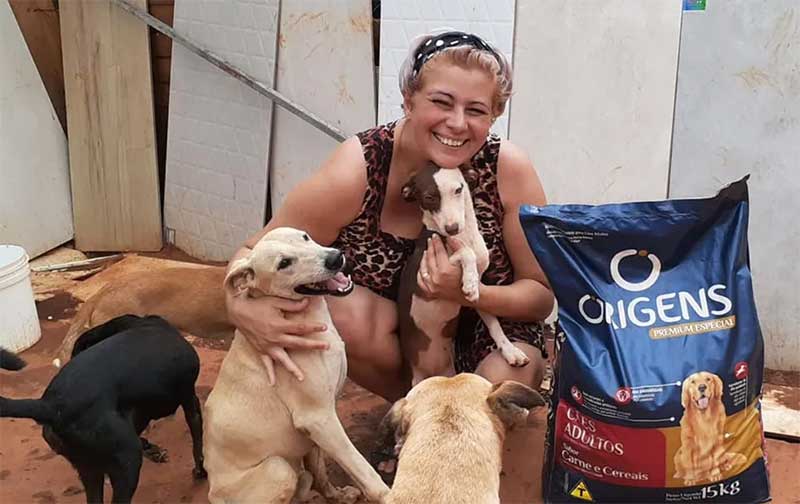 Abrigo de animais de Bauru luta para sobreviver e pede ajuda para arcar com gastos que somam mais de R$ 20 mil — Foto: Reprodução/Facebook
