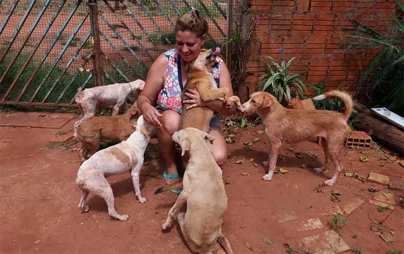Abrigo de Bauru mantém mais de 300 animais resgatados sob cuidados — Foto: Reprodução/Facebook