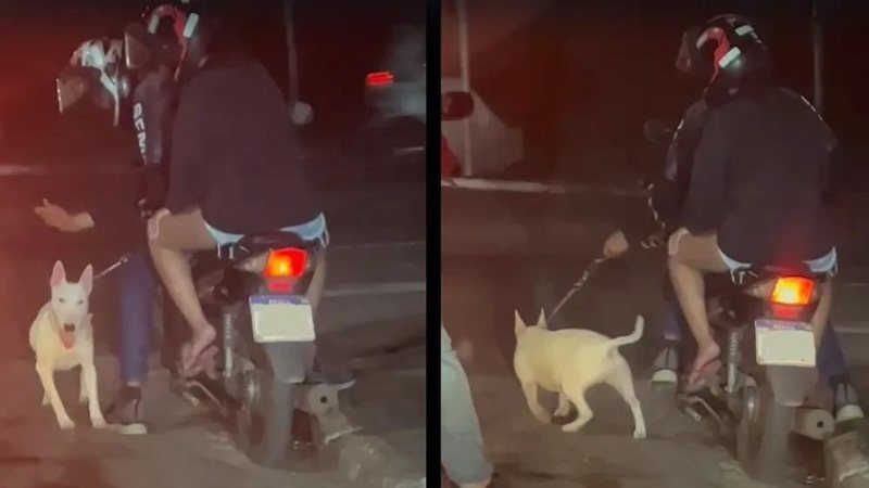 Homem dá tapa em cachorro e o obriga a correr atrás de moto a 40 km/h em Praia Grande, SP