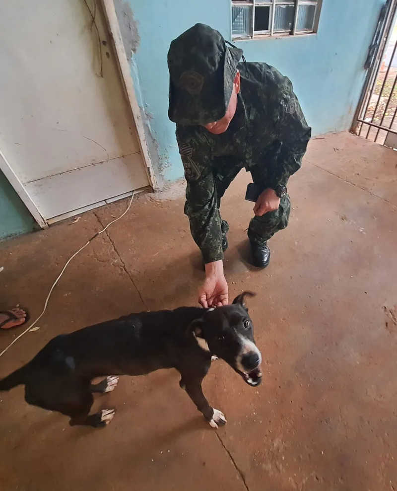 Animal foi encontrado em meio à sujeira, em Rosana (SP), neste domingo (25) — Foto: Polícia Ambiental