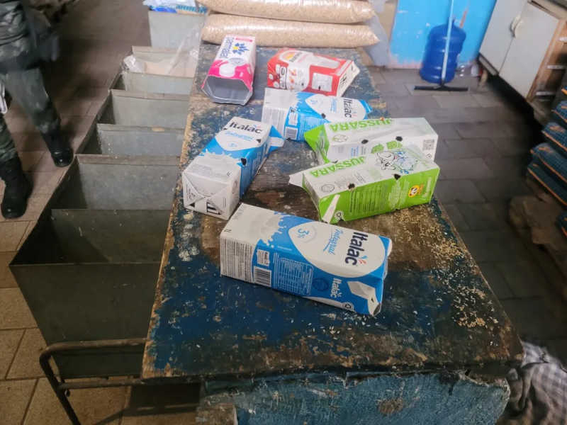 Aves são achadas dentro de caixas de leite em pet shop de SP; dono foi multado em mais de R$ 1 milhão