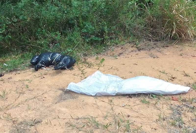 Cachorro morto enrolado por saco preto é encontrado por moradores no Tarumã, em Manaus, AM
