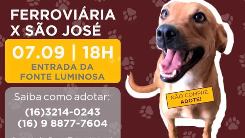 Ferroviária e Prefeitura de Araraquara (SP) realizam campanha de adoção de animais