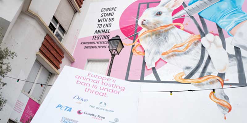 1,4 milhões de europeus pedem o fim dos testes em animais para fins cosméticos