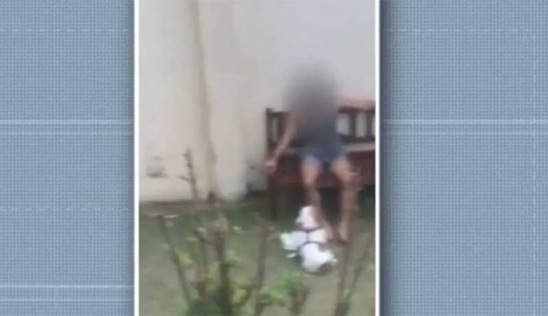 Homem é flagrado enquanto chuta, arremessa objetos e joga cachorro no chão em Salvador, BA