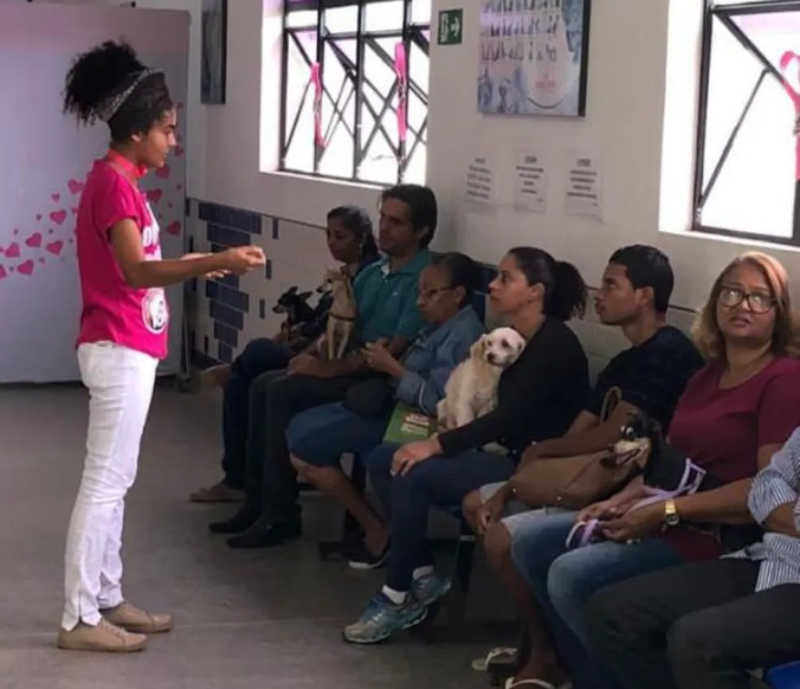 Universidade de Salvador (BA) oferece atendimento gratuito para cadelas e gatas com suspeita de câncer de mama