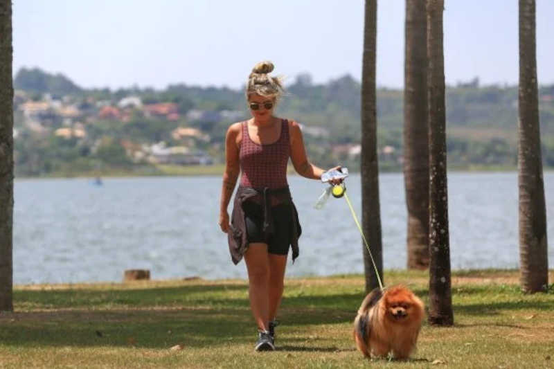 Brasília: condomínio no Lago Sul proíbe pets em área verde e caso vai à Justiça