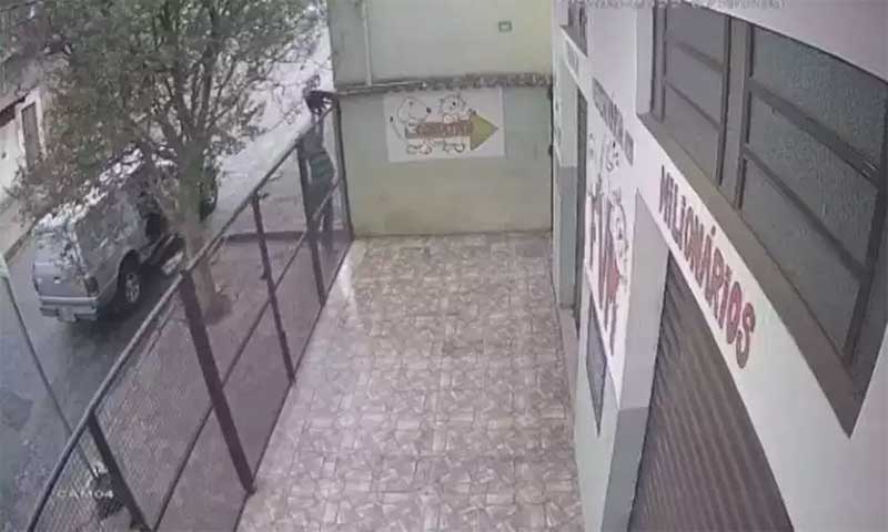 Homem que jogou cão por cima de grade de 2 metros em Belo Horizonte é identificado