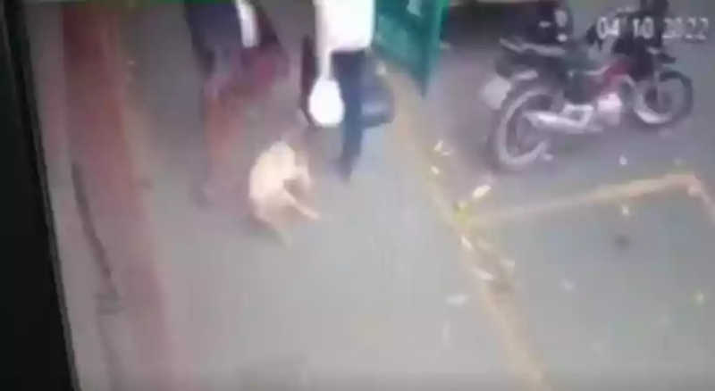 Vídeo: câmera de segurança flagra homem dando chutes em cadela em Formiga, MG
