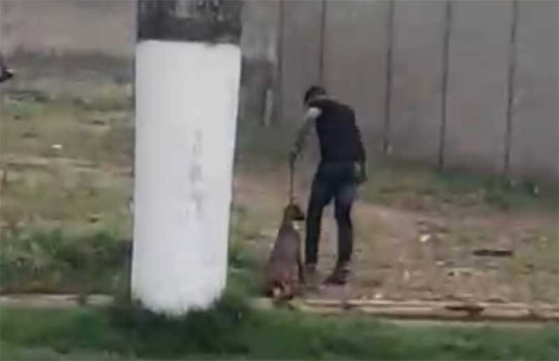 Vídeo de homem arrastando cachorro para abandoná-lo gera revolta em Tucumã, PA