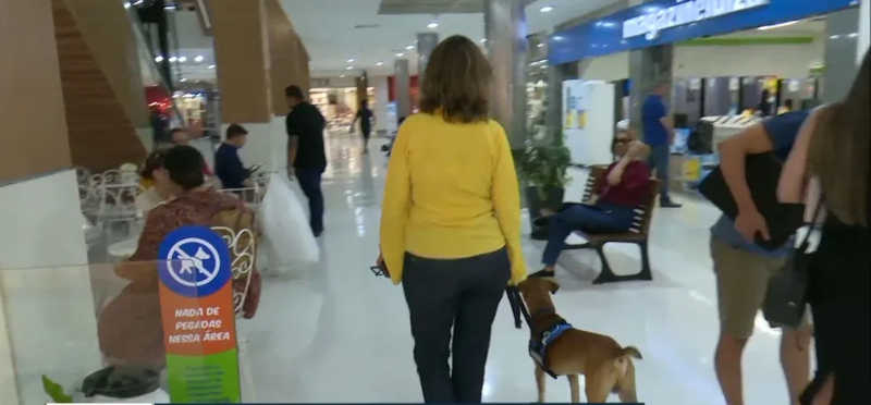 O cachorro Caramelo se tornou mascote de shoping em João Pessoa — Foto: Foto: Reprodução TV Cabo Branco