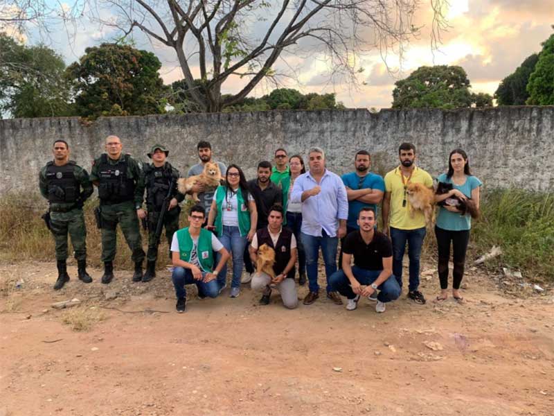 Equipes desarticulam canil clandestino em João Pessoa. (Foto: Divulgação/Seman)