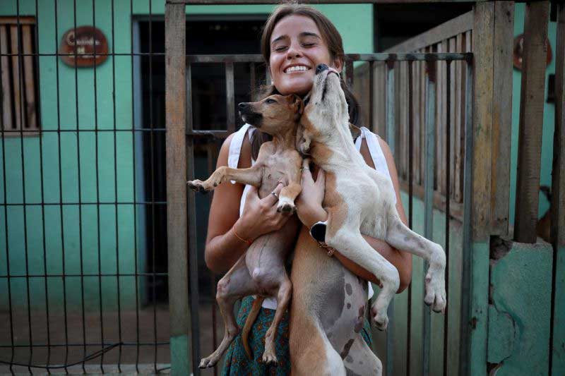 Portugueses e são-tomenses combatem excesso de cães errantes nas ruas de São Tomé