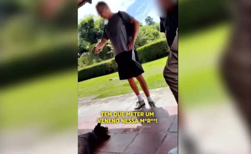 Homem é filmado dizendo que cão do Parque Bacacheri tem que morrer: ‘Tem que meter veneno’; vídeo