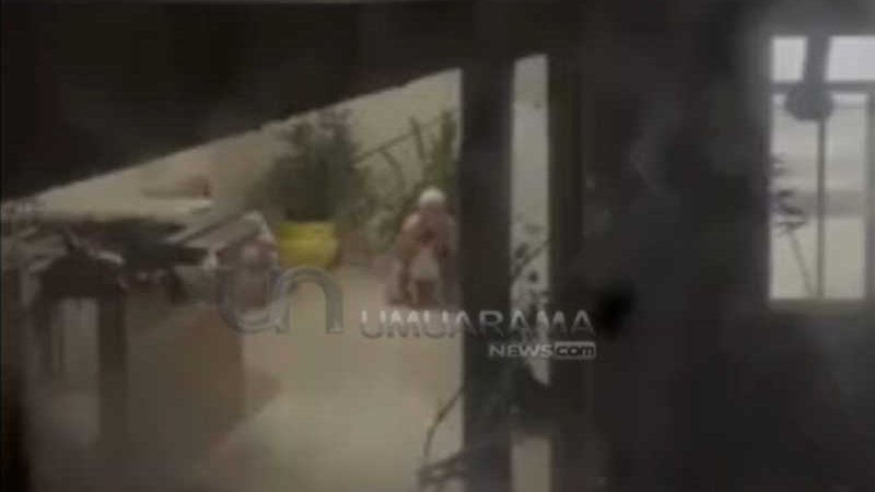 Vídeo mostra homem abusando sexualmente de cadela em Icaraíma