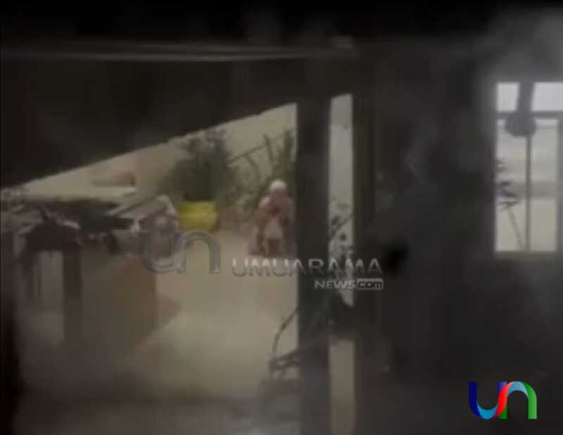 Vídeo mostra homem estuprando cadela em Icaraíma, PR