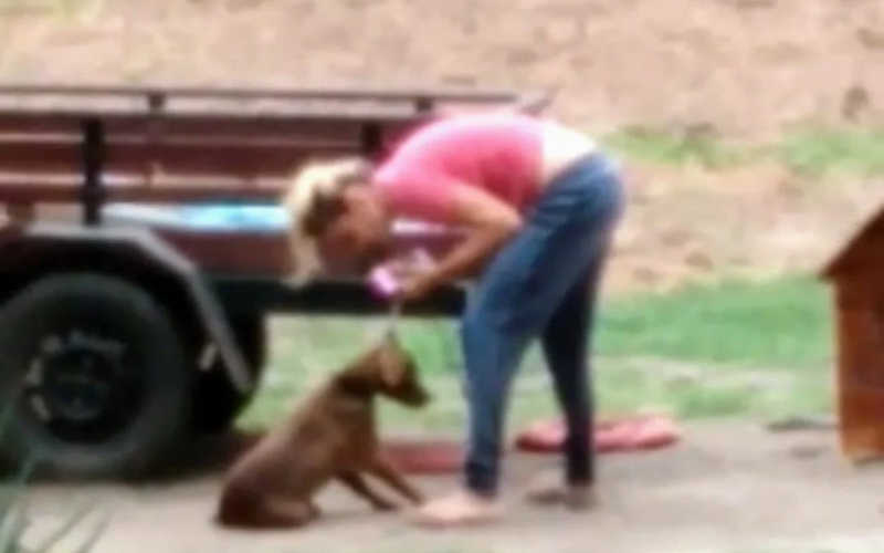 Mulher é presa em flagrante por maus-tratos contra seu cão em Maricá, RJ