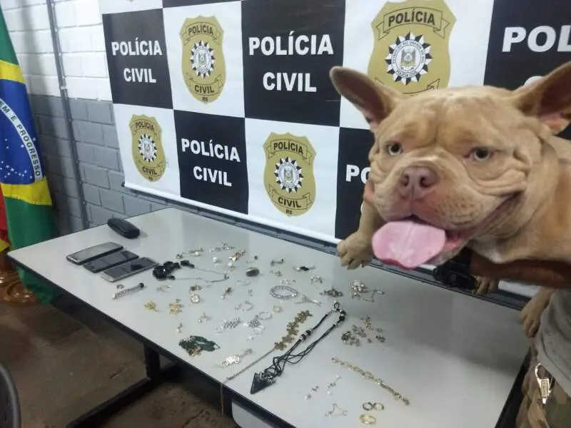 Polícia Civil realiza prisão por receptação qualificada e maus-tratos contra animais em Campo Bom, RS