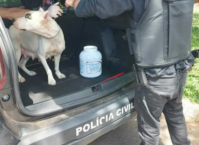 Polícia Civil realiza prisão por receptação qualificada e maus-tratos contra animais