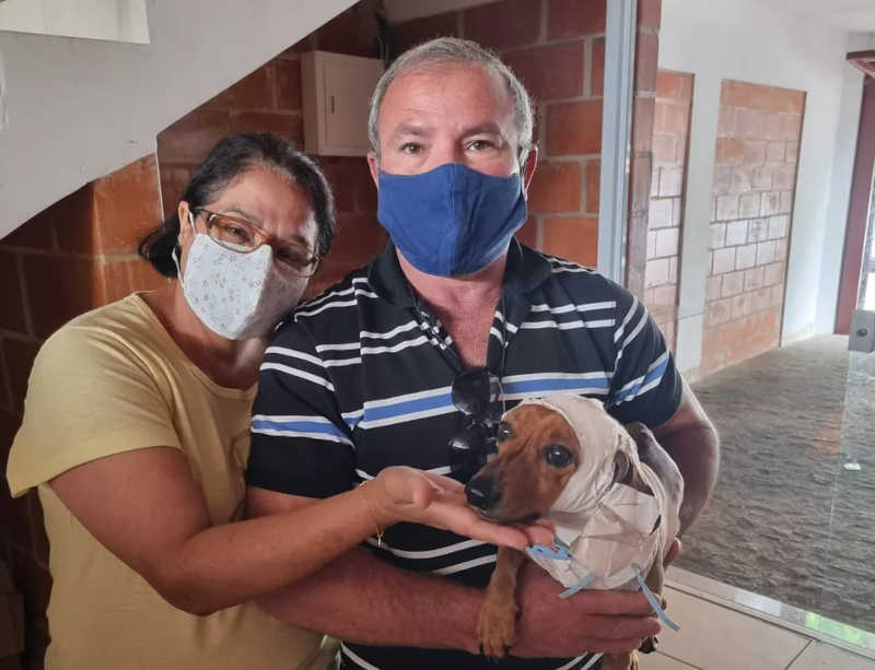 Após 50 dias, Menino reencontra casal que o resgatou em Tatuí, no interior de São Paulo. — Foto: UIPA/Divulgação