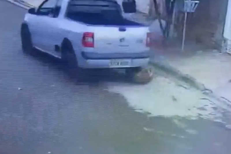Câmera flagra motorista passando com carro por cima de cachorro no interior de SP; vídeo