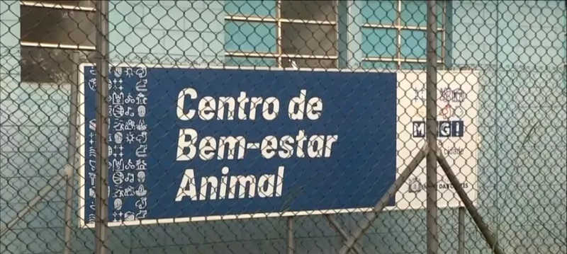 Centro de Bem-estar Animal de Mogi das Cruzes (SP) adota agendamento para casos sem urgência
