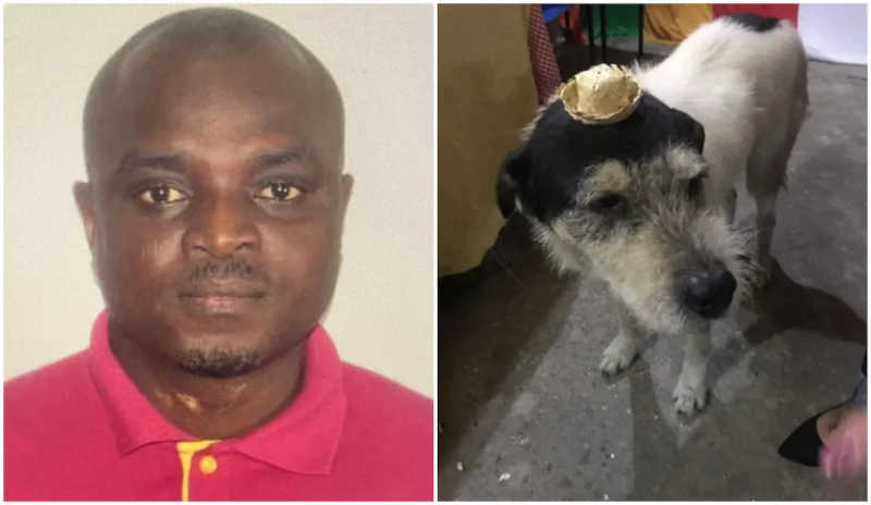 O nigeriano Chigozie Emmanuel Okoye, de 46 anos, preso em flagrante na noite desta sexta (30), na casa dele em Cidade Tiradentes, acusado de atropelas o cachorro 'Grandão" — Foto: Reprodução