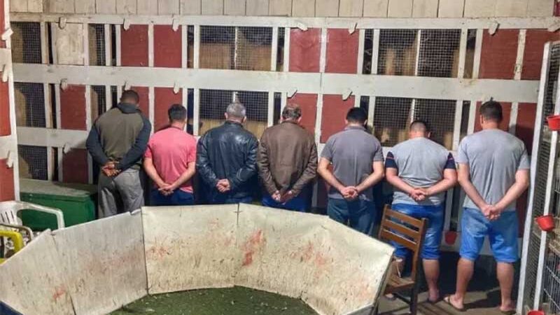7 homens foram detidos pelos maus-tratos aos animais - PMA/Divulgação/CSC