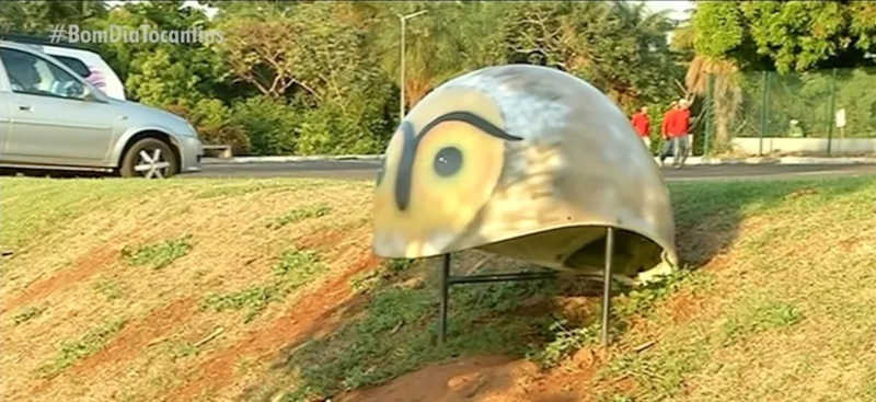 Orelhões antigos são reformados e viram casinha para corujas em Araguaína — Foto: Reprodução/TV Anhanguera