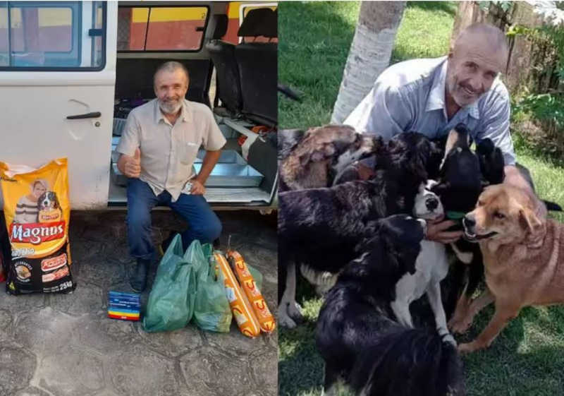 Brasileiro vende tudo para cuidar de 800 cães abandonados em Alagoas