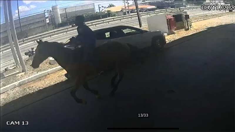 Homem sequestra cavalo em Fortaleza (CE) e foge a galope no animal; VÍDEO