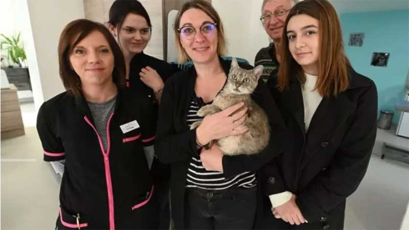 Gato anda por 600 km e reencontra família 13 meses depois