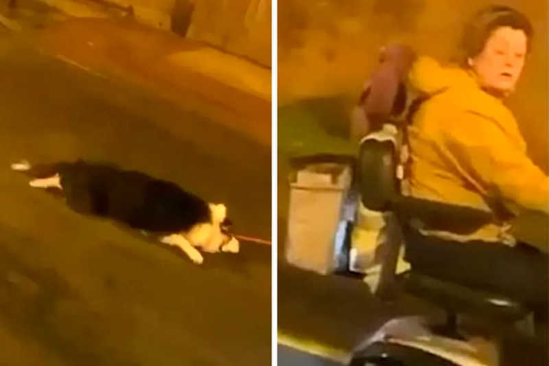 Idosa gera revolta ao ser flagrada em vídeo arrastando cachorro amarrado a scooter
