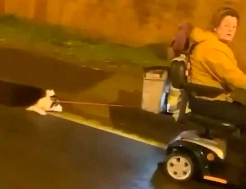 Idosa é flagrada arrastando cachorro amarrado a scooter — Foto: reprodução Twitter