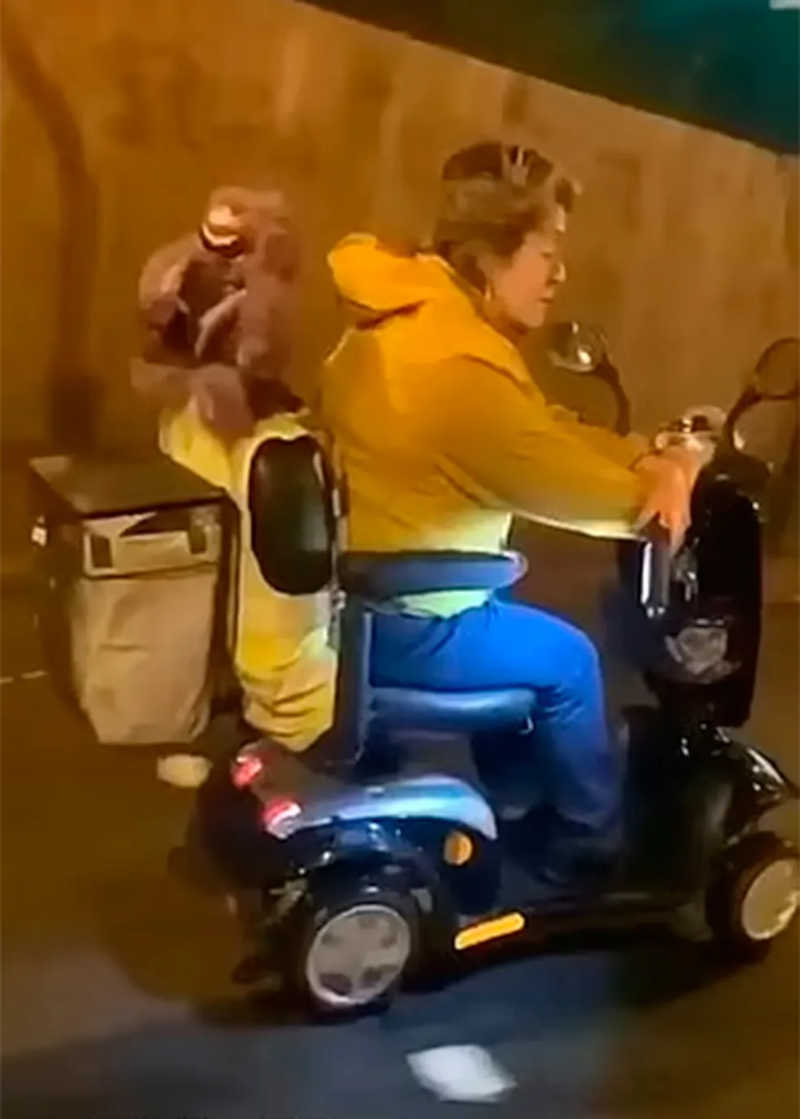 Idosa é flagrada arrastando cachorro amarrado a scooter — Foto: reprodução Twitter