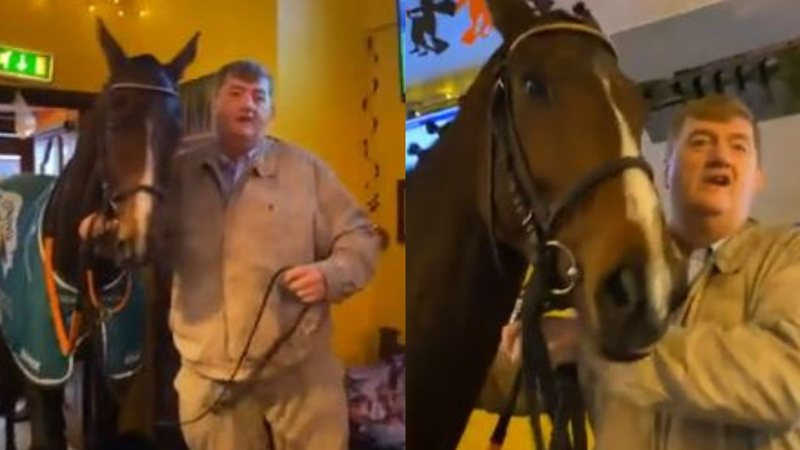 Homem desfila com cavalo em pub e dá cerveja ao animal