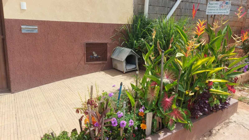 Dalva é protetora dos animais e sempre alimenta e abriga cães e gatos na porta de casa em Divinópolis — Foto: Dalva Lopes/Divulgação