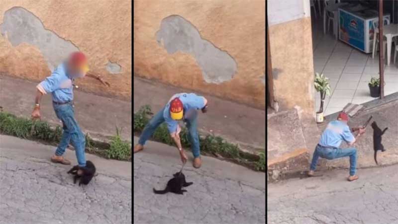 Em ato covarde e usando uma ferramenta, idoso espanca gato em Itabirito, MG; veja vídeo