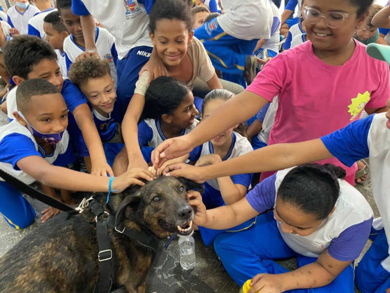 Ação conjunta busca conscientizar crianças sobre boas práticas com animais, em Mariana, MG